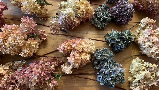 What are The Impact of Extraction Methods on Essential Oil Quality?