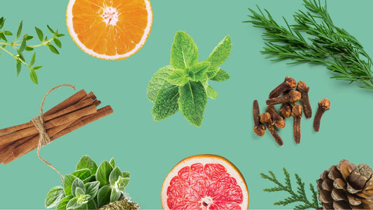 Using Essential Oils for Aromatherapy: Creating a Relaxing Home Environment