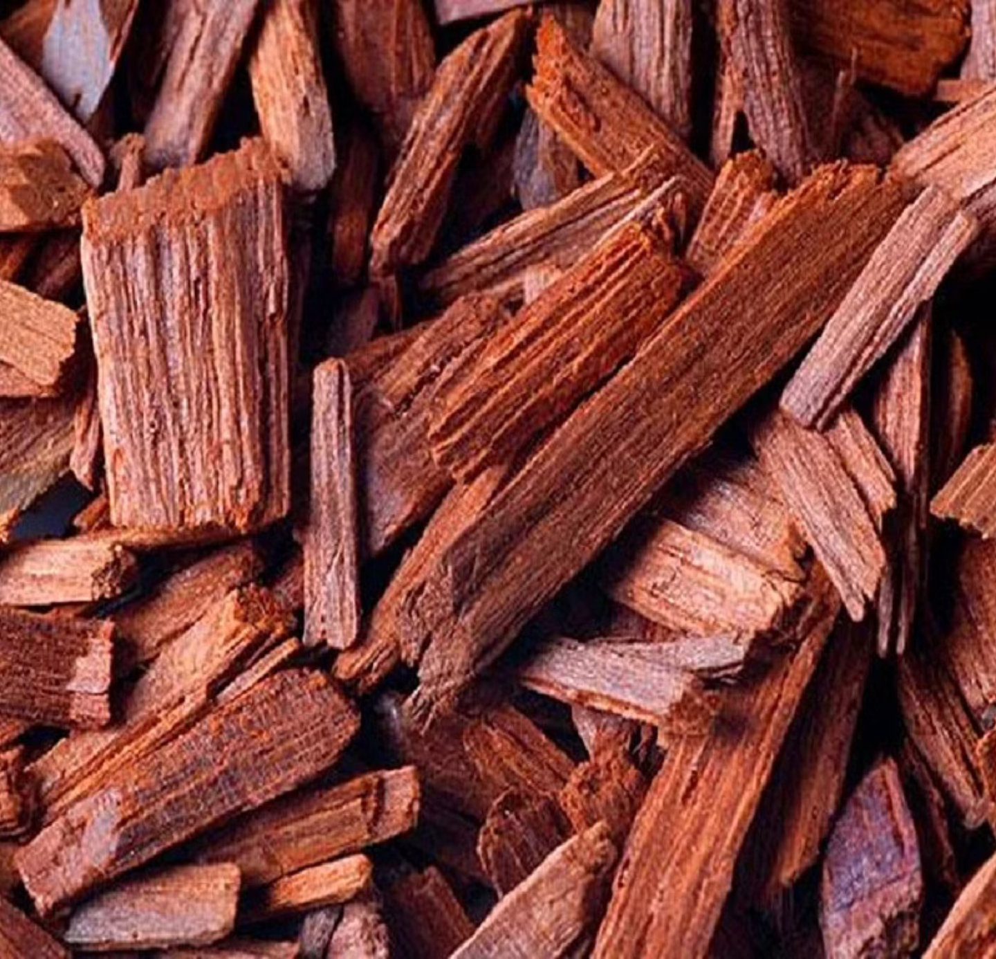 Sandalwood Oil