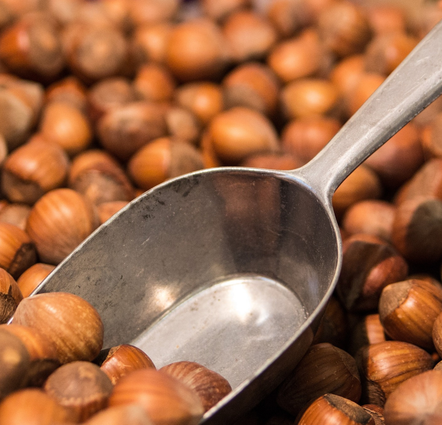 Hazelnut Oil