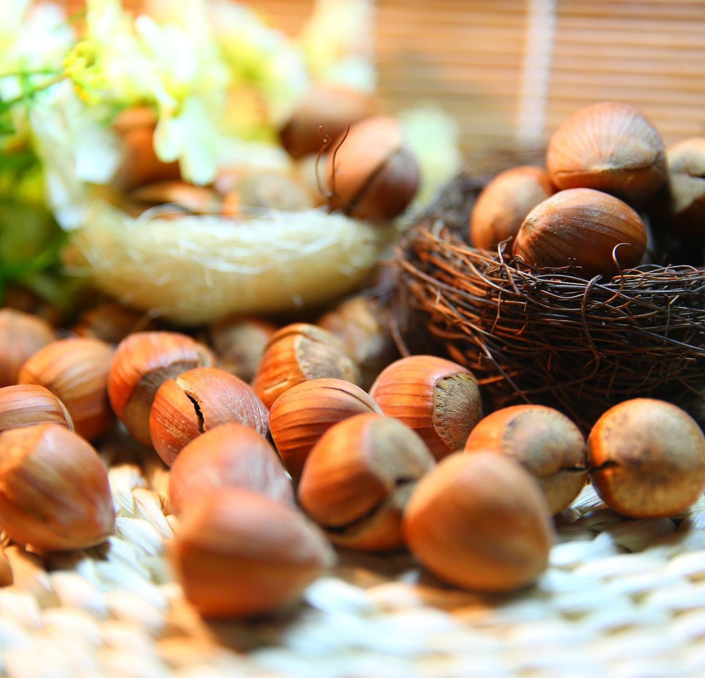 Hazelnut Oil