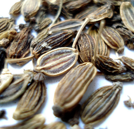 Dill Seed Oil