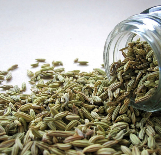 Fennel Seeds Oil