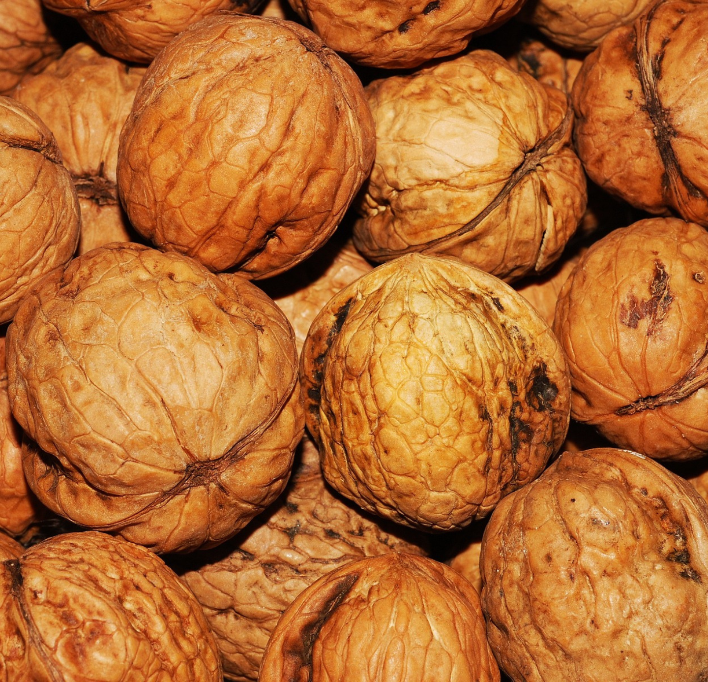 Walnut Oil