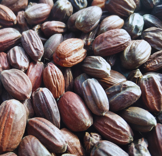 Jojoba Oil