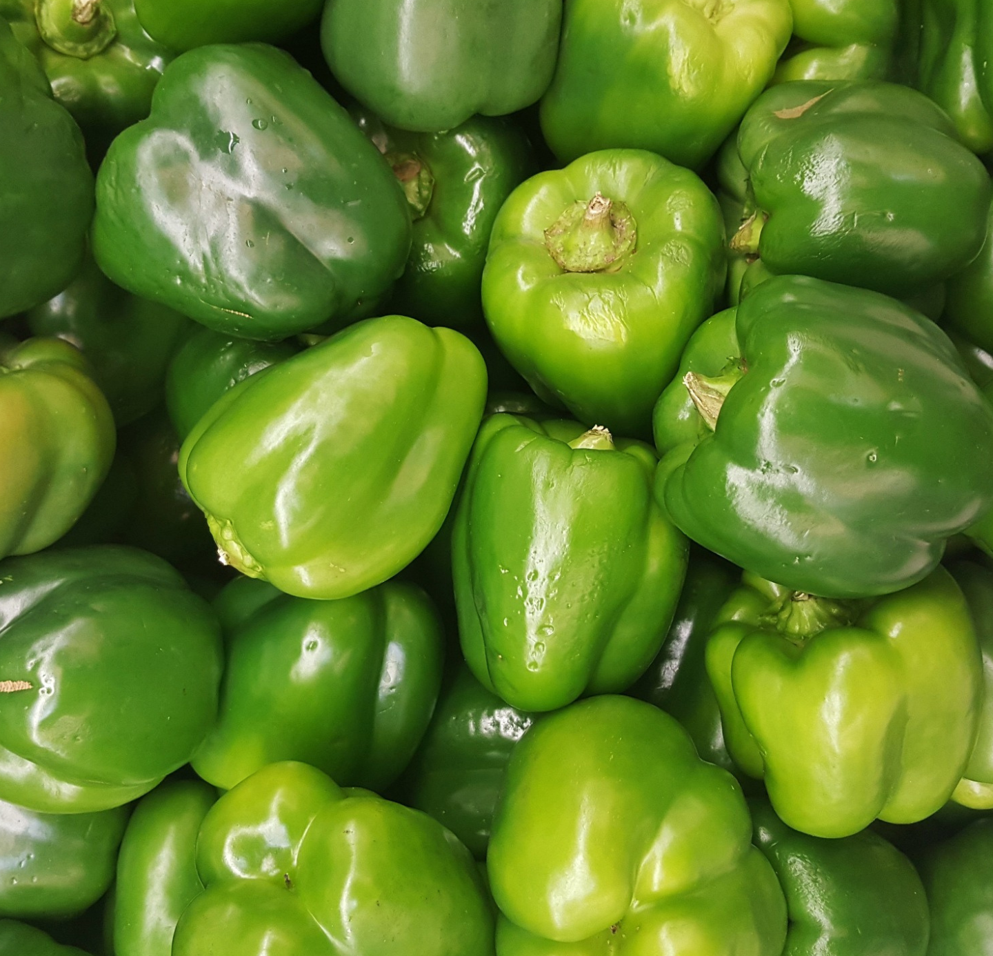 Capsicum Oleoresins