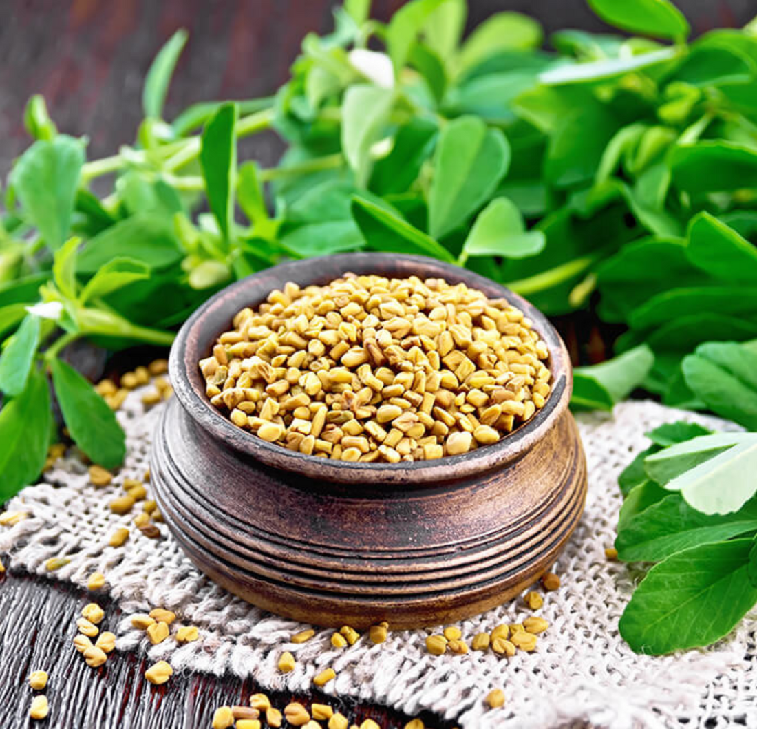 Fenugreek Oil