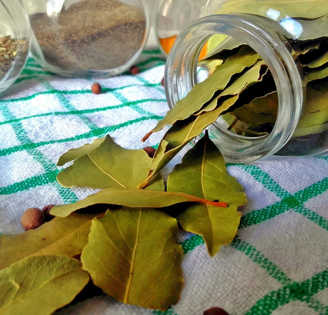 Bay Leaf Oil